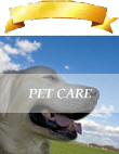Pet care business advertising