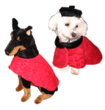 Coat - Red Faux Leopard Designer Dog Coat with Black Collar