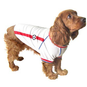 England Football Shirt