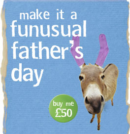 Make it a funusual Father's Day - buy a donkey �50