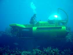 The  tourist sub