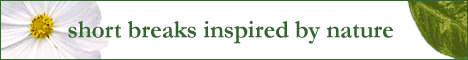 South West Wales banner