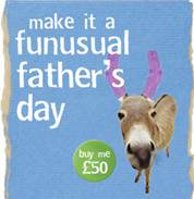 Make it a funusual Father's Day - buy a donkey �50