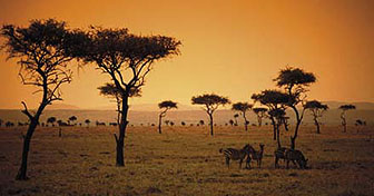 Kenya game reserve